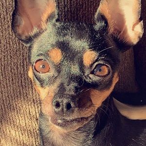 Meet your Posher, Chad